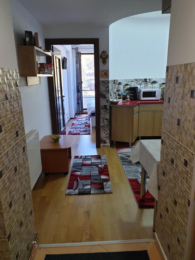 Апартаменты Sophie Apartament Синая Экстерьер фото