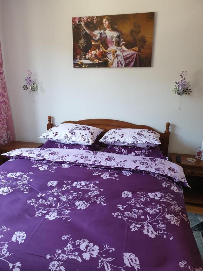 Апартаменты Sophie Apartament Синая Экстерьер фото
