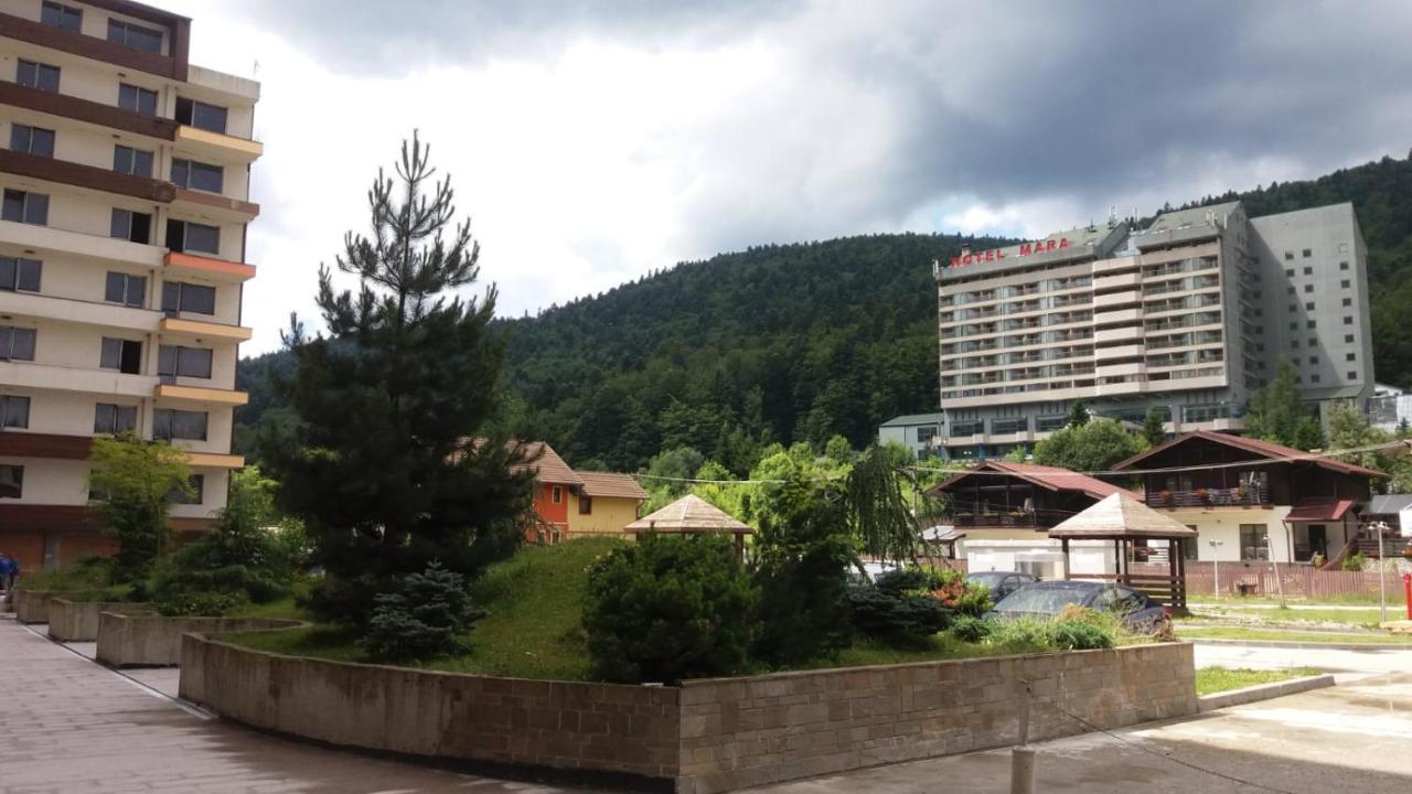 Апартаменты Sophie Apartament Синая Экстерьер фото