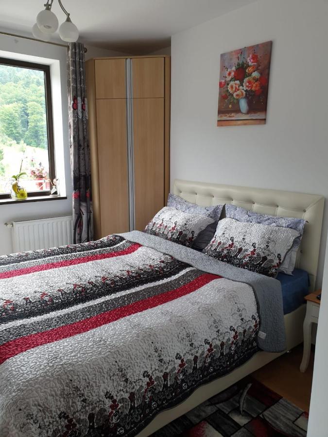 Апартаменты Sophie Apartament Синая Экстерьер фото