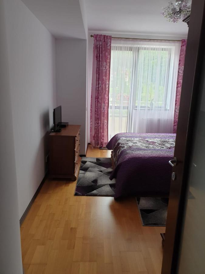 Апартаменты Sophie Apartament Синая Экстерьер фото