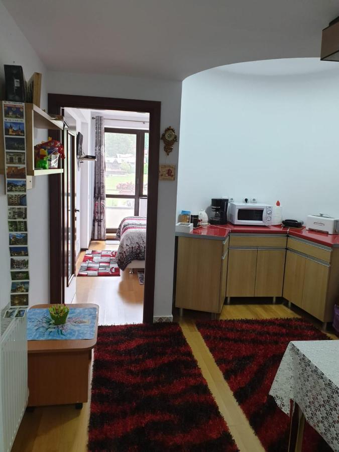 Апартаменты Sophie Apartament Синая Экстерьер фото