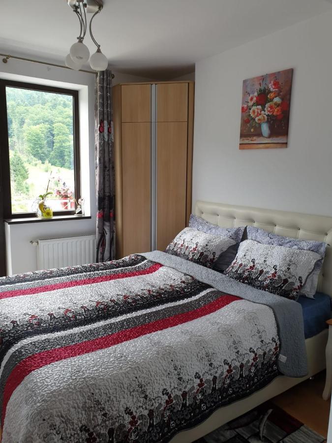Апартаменты Sophie Apartament Синая Экстерьер фото